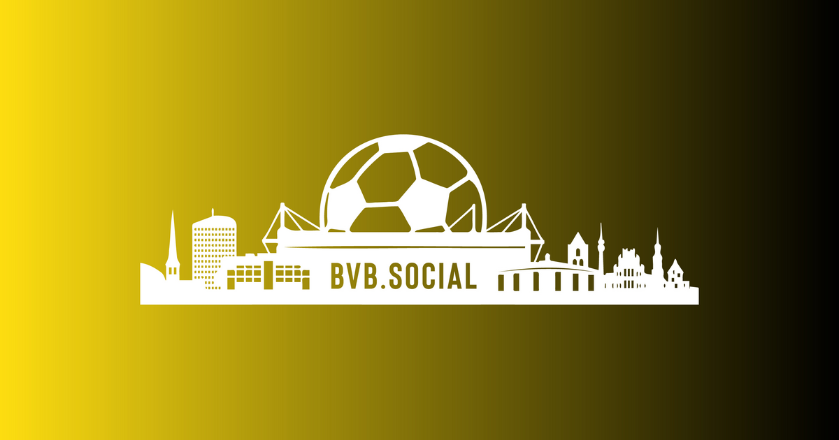 Icon for bvb.social